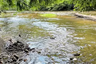 10345 Red Oak Ridge, Howard City, MI 49329 - Photo 75