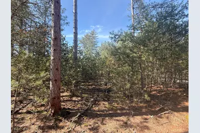 V/L W Pine Acres Trail, Hart, MI 49420 - Photo 3