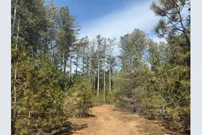 V/L W Pine Acres Trail, Hart, MI 49420 - Photo 5