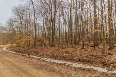 10082 Sante Fe Trail #94, Canadian Lakes, MI 49346 - Photo 5