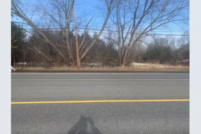 Parcel A W Shaw Street, Howard City, MI 49329 - Photo 5