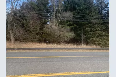 Parcel A W Shaw Street, Howard City, MI 49329 - Photo 1