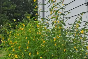 4500 E Huron River Dr, Ann Arbor, MI 48105 - Photo 67