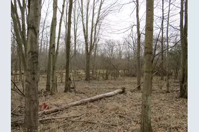 9593 Oakley Road, Saint Charles, MI 48655 - Photo 67