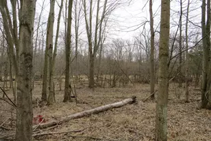 9593 Oakley Rd, Saint Charles, MI 48655 - Photo 67