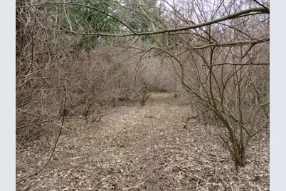 9593 Oakley Road, Saint Charles, MI 48655 - Photo 65