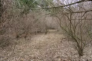 9593 Oakley Rd, Saint Charles, MI 48655 - Photo 65