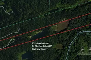 9593 Oakley Rd, Saint Charles, MI 48655 - Photo 83