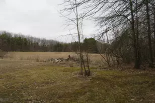 9593 Oakley Rd, Saint Charles, MI 48655 - Photo 53