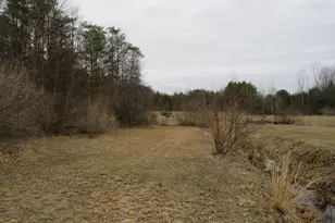 9593 Oakley Rd, Saint Charles, MI 48655 - Photo 55