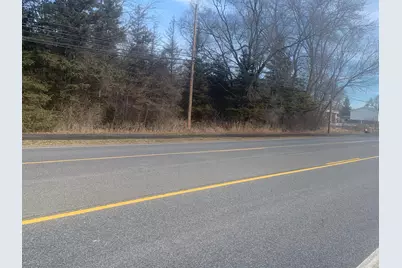 Parcel B W Shaw Street, Howard City, MI 49329 - Photo 1