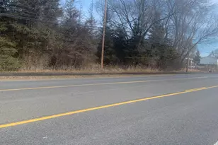 Parcel B W Shaw St, Howard City, MI 49329 - Photo 1