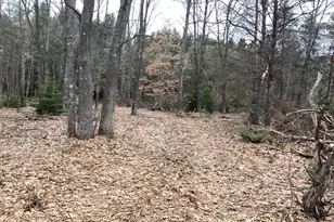 2510 W Winston Rd, Rothbury, MI 49452 - Photo 1