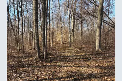 V/L County Road 681, Hartford, MI 49057 - Photo 37