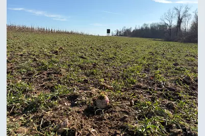 V/L County Road 681, Hartford, MI 49057 - Photo 61