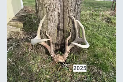 V/L County Road 681, Hartford, MI 49057 - Photo 7