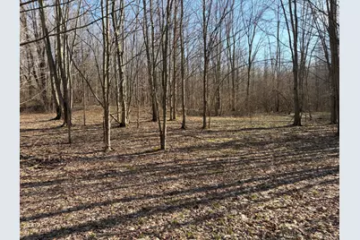 V/L County Road 681, Hartford, MI 49057 - Photo 55