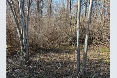 V/L County Road 681, Hartford, MI 49057 - Photo 3