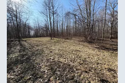 V/L County Road 681, Hartford, MI 49057 - Photo 53