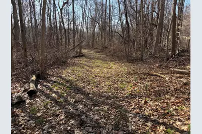 V/L County Road 681, Hartford, MI 49057 - Photo 45