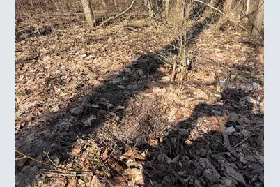 V/L County Road 681, Hartford, MI 49057 - Photo 33