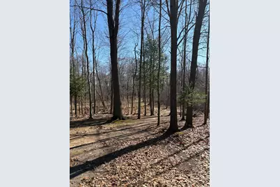 02533 53rd Street, Grand Junction, MI 49056 - Photo 7