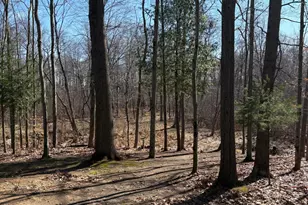 02533 53rd St, Grand Junction, MI 49056 - Photo 7