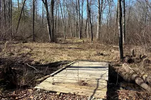 02533 53rd St, Grand Junction, MI 49056 - Photo 9