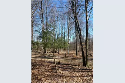 02533 53rd Street, Grand Junction, MI 49056 - Photo 13