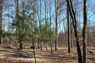 02533 53rd St, Grand Junction, MI 49056 - Photo 13