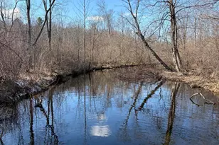 02533 53rd St, Grand Junction, MI 49056 - Photo 5