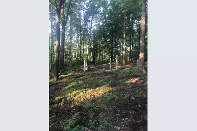 02533 53rd Street, Grand Junction, MI 49056 - Photo 3