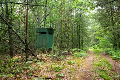 V/L 8.09A N Centerline Road, White Cloud, MI 49349 - Photo 9
