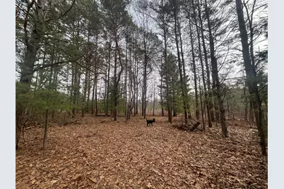 V/L 8.09A N Centerline Road, White Cloud, MI 49349 - Photo 21