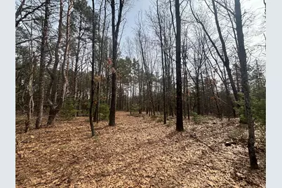 V/L 8.09A N Centerline Road, White Cloud, MI 49349 - Photo 13