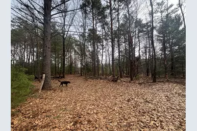 V/L 8.09A N Centerline Road, White Cloud, MI 49349 - Photo 15