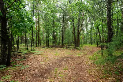 V/L 8.09A N Centerline Road, White Cloud, MI 49349 - Photo 41