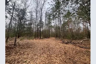 V/L 8.09A N Centerline Road, White Cloud, MI 49349 - Photo 21