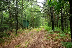 V/L 8 09A N Centerline Rd, White Cloud, MI 49349 - Photo 1