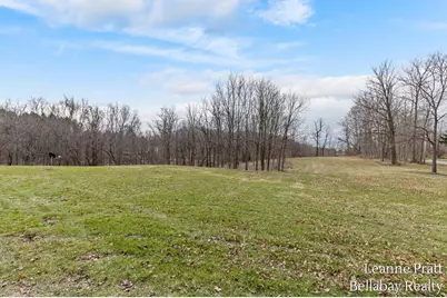 603 S State Street, Nashville, MI 49073 - Photo 11