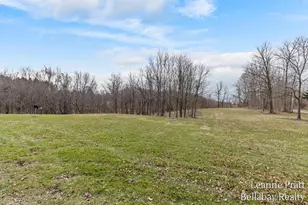 603 S State St, Nashville, MI 49073 - Photo 11