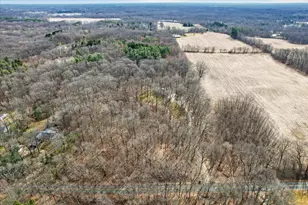 8625 Abbey Rd, Jackson, MI 49201 - Photo 63