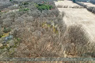 8625 Abbey Rd, Jackson, MI 49201 - Photo 61