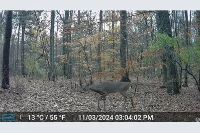 0 E 56th Street, Newaygo, MI 49337 - Photo 9