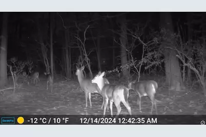 0 E 56th Street, Newaygo, MI 49337 - Photo 11