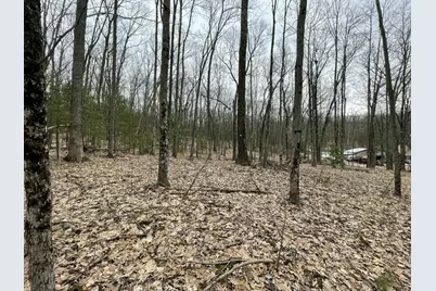 V/L W Deer Track Trail #Parcel A-4, Irons, MI 49644 - Photo 5