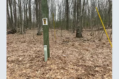 V/L W Deer Track Trail #Parcel A-4, Irons, MI 49644 - Photo 3