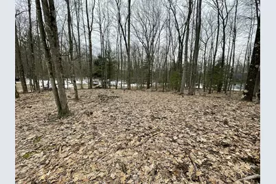 V/L W Deer Track Trail #Parcel A-4, Irons, MI 49644 - Photo 7