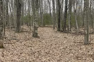 V/L W Deer Track Trail, Irons, MI 49644 - Photo 1