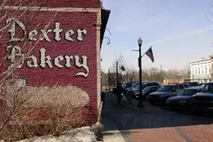 315 Cambridge Dr, Dexter, MI 48130 - Photo 41